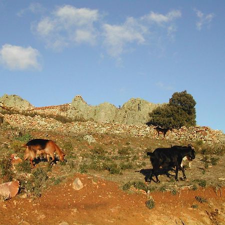 Madre Terra La Puebla de la Sierra Exterior foto
